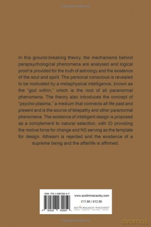 The Theory of Material Mind: The Rediscovery of Metaphysics - Philip Hodgetts [KSIĄŻKA]