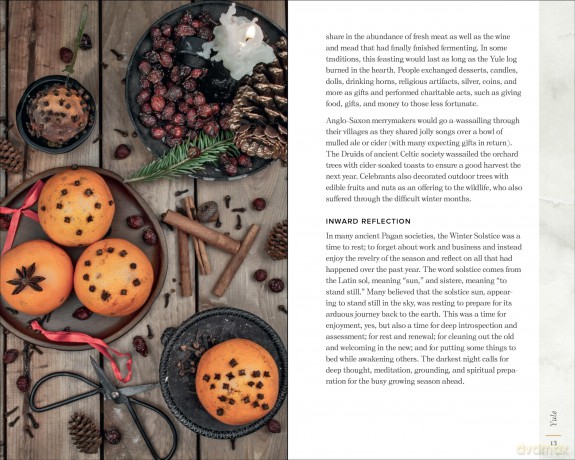 The Wheel of the Year Companion: Rituals for Celebrating Pagan Festivals of the Season - Anjou Kiernan [KSIĄŻKA]