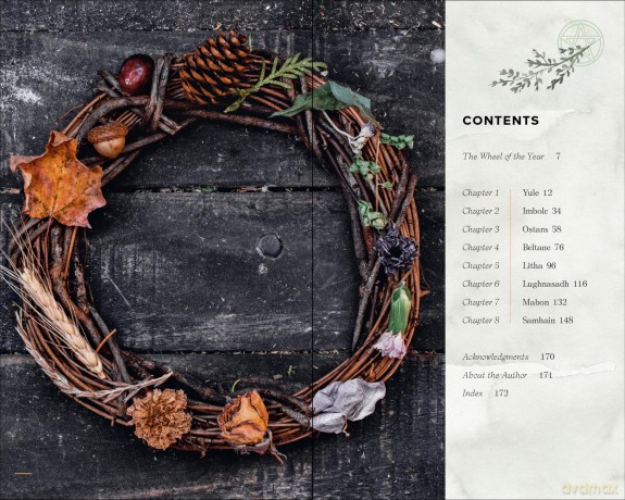 The Wheel of the Year Companion: Rituals for Celebrating Pagan Festivals of the Season - Anjou Kiernan [KSIĄŻKA]