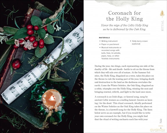 The Wheel of the Year Companion: Rituals for Celebrating Pagan Festivals of the Season - Anjou Kiernan [KSIĄŻKA]