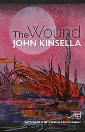 The Wound (Arc International Poets Series) - John Kinsella [KSIĄŻKA]