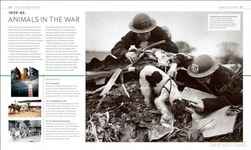 Timelines of World War II (DK Timelines) - Dk [KSIĄŻKA]
