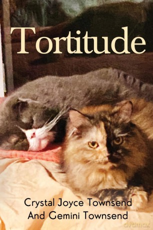 Tortitude - Crystal J Townsend [KSIĄŻKA]