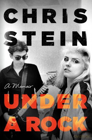 Under A Rock - Chris Stein [KSIĄŻKA]