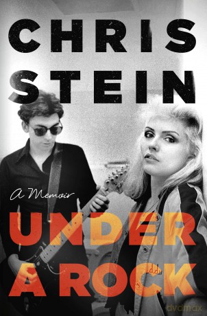 Under A Rock - Chris Stein [KSIĄŻKA]