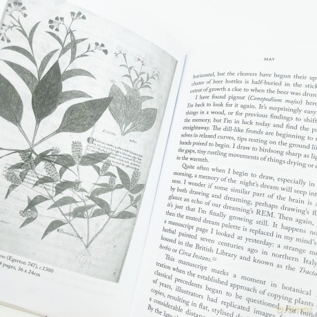 Understorey: A Year Among Weeds - Anna Parker [KSIĄŻKA]