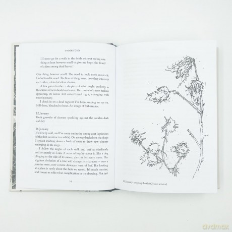 Understorey: A Year Among Weeds - Anna Parker [KSIĄŻKA]