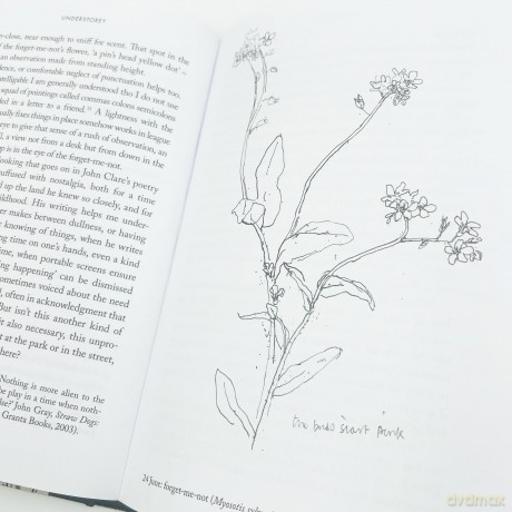 Understorey: A Year Among Weeds - Anna Parker [KSIĄŻKA]