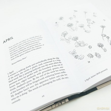 Understorey: A Year Among Weeds - Anna Parker [KSIĄŻKA]