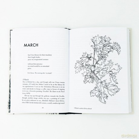 Understorey: A Year Among Weeds - Anna Parker [KSIĄŻKA]
