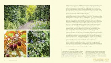 Undiscovered Victoria: A Locals' Guide to Finding Adventure - One Hour Out [KSIĄŻKA]