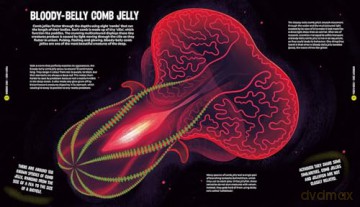 University of Cambridge: Beasts from the Deep - Matt Ralphs [KSIĄŻKA]