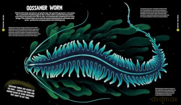 University of Cambridge: Beasts from the Deep - Matt Ralphs [KSIĄŻKA]