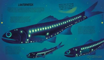 University of Cambridge: Beasts from the Deep - Matt Ralphs [KSIĄŻKA]