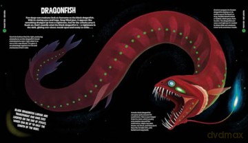 University of Cambridge: Beasts from the Deep - Matt Ralphs [KSIĄŻKA]