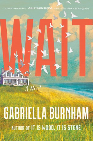 Wait: A Novel - Gabriella Burnham [KSIĄŻKA]