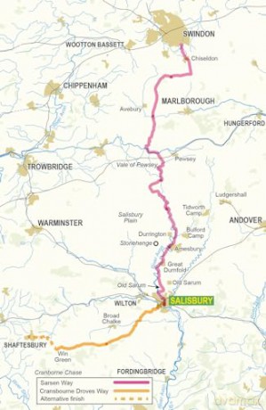 Walking the Sarsen Way: Stonehenge, Avebury, Salisbury and the Cranborne Droves Way - Steve Davison [KSIĄŻKA]