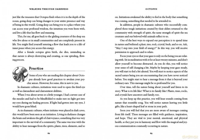 Walking through Darkness: A Nature-Based Path to Navigating Suffering and Loss - Sandra Ingerman [KSIĄŻKA]