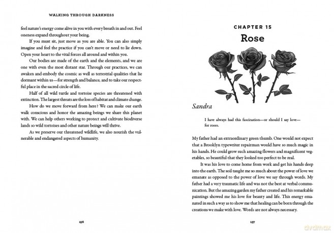 Walking through Darkness: A Nature-Based Path to Navigating Suffering and Loss - Sandra Ingerman [KSIĄŻKA]