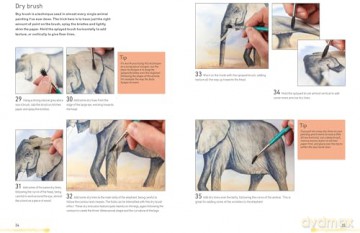 Watercolour Animals for the Absolute Beginner (Absolute Beginner Art) - Matthew Palmer [KSIĄŻKA]