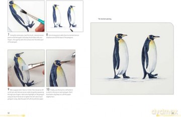 Watercolour Animals for the Absolute Beginner (Absolute Beginner Art) - Matthew Palmer [KSIĄŻKA]