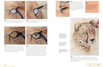 Watercolour Animals for the Absolute Beginner (Absolute Beginner Art) - Matthew Palmer [KSIĄŻKA]