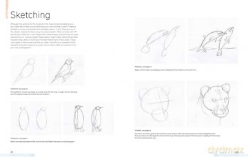 Watercolour Animals for the Absolute Beginner (Absolute Beginner Art) - Matthew Palmer [KSIĄŻKA]