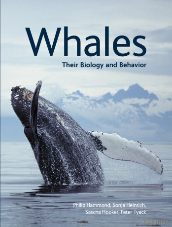 Whales: Their Biology and Behavior - Hammond [KSIĄŻKA]