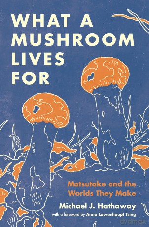 What a Mushroom Lives For: Matsutake and the Worlds They Make - Michael J Hathaway [KSIĄŻKA]