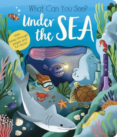 What Can You See Under the Sea - Molly Littleboy [KSIĄŻKA]