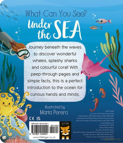 What Can You See Under the Sea - Molly Littleboy [KSIĄŻKA]