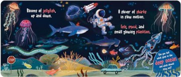 What Goes in the Ocean: A Seek-and-Find Book - Dori Elys [KSIĄŻKA]