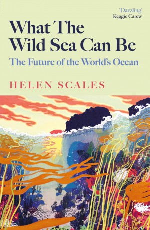 What the Wild Sea Can Be: The Future of the World's Ocean - Helen Scales [KSIĄŻKA]