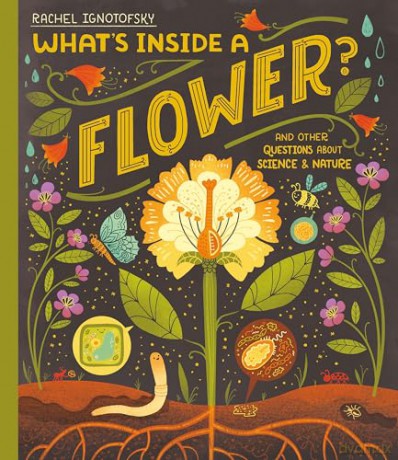 What's Inside a Flower: And other questions about science and nature - Rachel Ignotofsky [KSIĄŻKA]