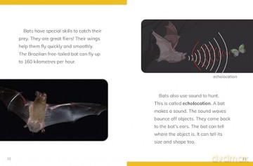 Why Do We Need Bats (Nature We Need) - Laura K. Murray [KSIĄŻKA]