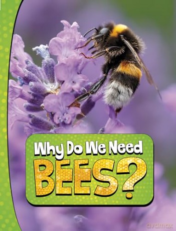 Why Do We Need Bees (Nature We Need) - Laura K. Murray [KSIĄŻKA]