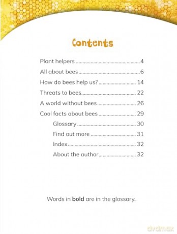 Why Do We Need Bees (Nature We Need) - Laura K. Murray [KSIĄŻKA]