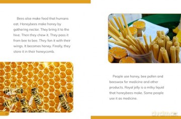 Why Do We Need Bees (Nature We Need) - Laura K. Murray [KSIĄŻKA]