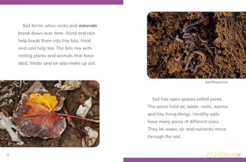 Why Do We Need Soil (Nature We Need) - Laura K. Murray [KSIĄŻKA]