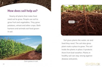Why Do We Need Soil (Nature We Need) - Laura K. Murray [KSIĄŻKA]