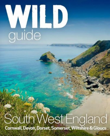 Wild Guide South West: Devon, Cornwall Dorset, Somerset, Wiltshire and Gloucestershire adventure travel guide (second edition): 10 - Daniel Start [KSIĄŻKA]
