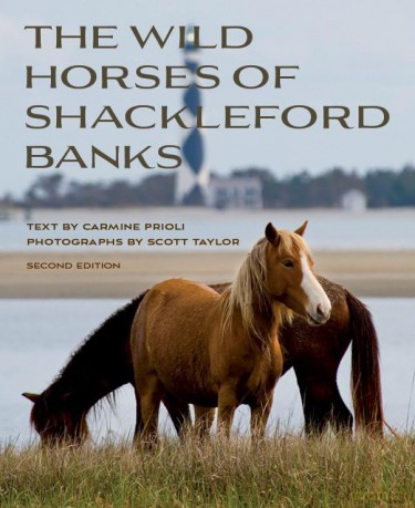 Wild Horses of Shackleford Banks [KSIĄŻKA]