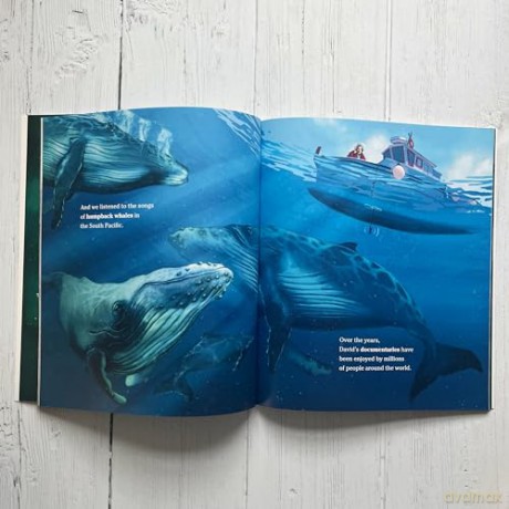 Wild Planet: The Inspiring Life and Wisdom of Sir David Attenborough - Hayley Rocco [KSIĄŻKA]