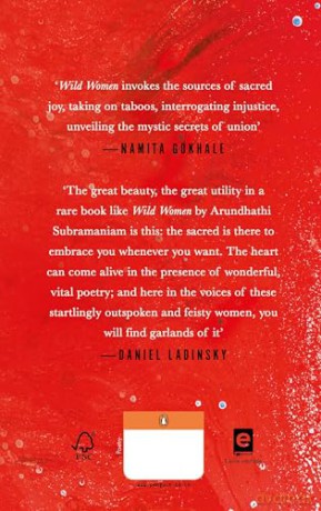 Wild Women: Seekers, Protagonists and Goddesses in Sacred Indian Poetry - Arundhathi Subramani [KSIĄŻKA]