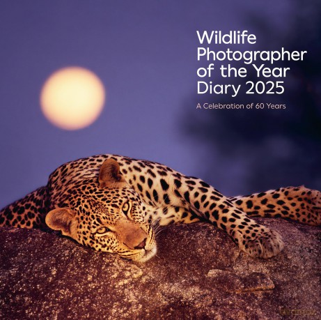 Wildlife Photographer of the Year: Desk Diary 2025: 60th Anniversary Edition (Wildlife Photographer of the Year Diaries) - Natural History Muse [KSIĄŻKA]