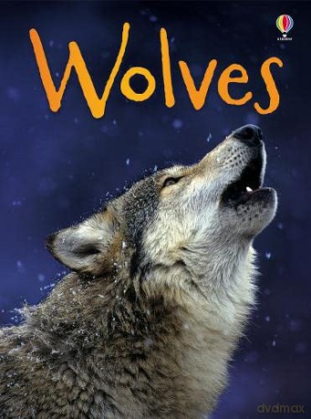 Wolves - James Maclaine [KSIĄŻKA]