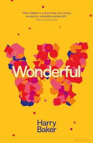 Wonderful - Harry Baker [KSIĄŻKA]