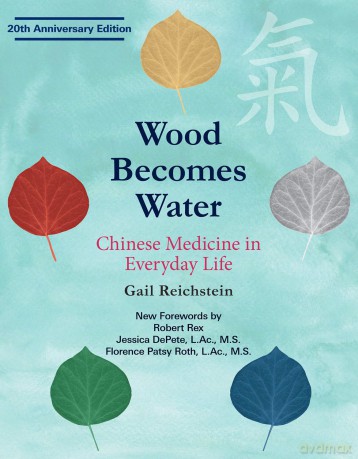 Wood Becomes Water: Chinese Medicine in Everyday Life - 20th Anniversary Edition - Gail Reichstein [KSIĄŻKA]