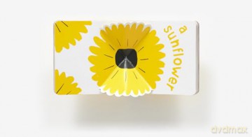 Yellow Pop (With 6 Playful Pop-Ups!): A Board Book (Color Pops) - Aurore Petit [KSIĄŻKA]