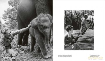 Ylla: The Birth of Modern Animal Photography - Pryor Dodge Maneka [KSIĄŻKA]